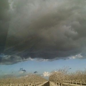 Meet your Posher, Rosalinda